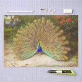 美しい鳥カラフル孔雀ヴィンテージ絵画ズ 薄葉紙 (クラフト)