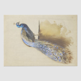 美しい鳥クジャクヴィンテージ水色 薄葉紙