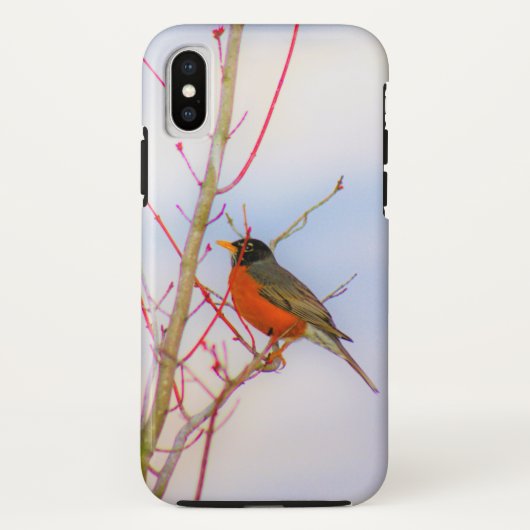 美しい鳥写真のロビン Case-Mate iPhoneケース (裏面)
