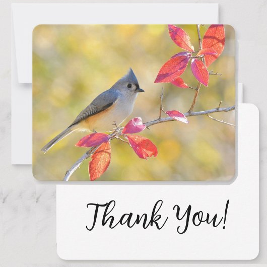 美しい鳥写真 |閉じる | Heartfelt カード