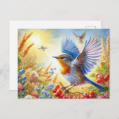 美しい鳥夏景色3 ポストカード (正面/裏面)