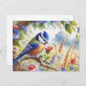 美しい鳥夏景色5 ポストカード (正面/裏面)