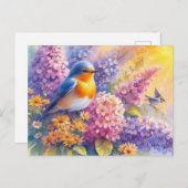 美しい鳥夏景色6 ポストカード (正面/裏面)
