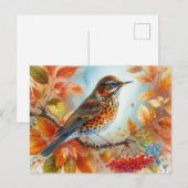 美しい鳥夏景色9 ポストカード (正面/裏面)