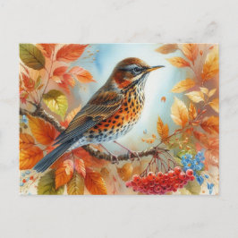 美しい鳥夏景色9 ポストカード