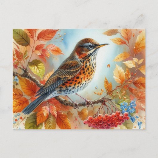 美しい鳥夏景色9 ポストカード (正面)