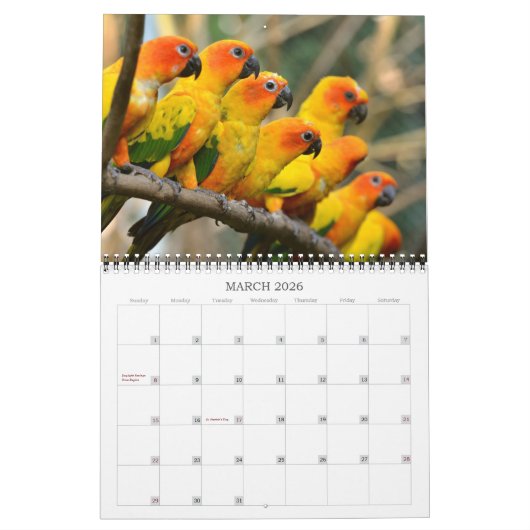 美しい鳥 カレンダー (3月 2026)