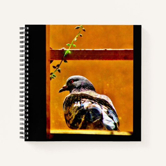 美しい鳩 ノートブック (正面)
