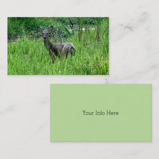 美しい鹿の名刺 名刺 (正面/裏面)