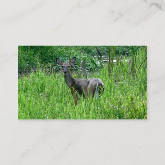 美しい鹿の名刺 名刺 (正面)