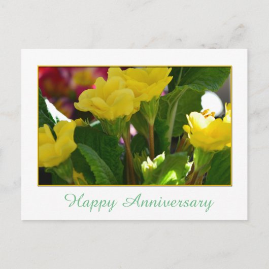 美しい黄色い庭の花の幸せな記念日 ポストカード (正面)