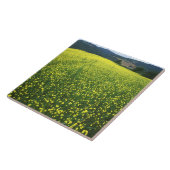 美しい黄色い花が咲く山の野原 タイル (側面)