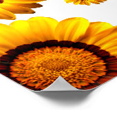 美しい黄色い花 ポスター (角)