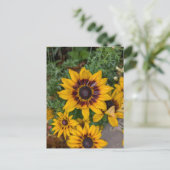 美しい黄色い花 ポストカード (スタンド正面)