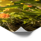 美しい黄色い虹彩花園ポスター ポスター (角)