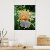 美しい黄色と白のアヤメの花の写真 ポスター (キッチン)