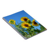美しい黄色のひまわり ノートブック (右側)