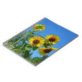 美しい黄色のひまわり ノートブック (左側)