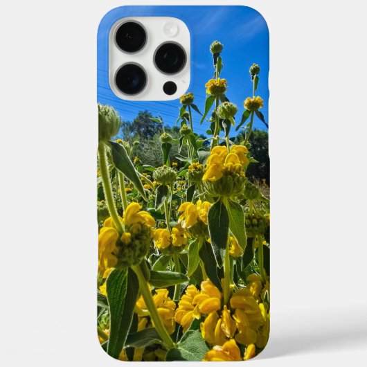 美しい黄色のエルサレムのセージの花 Case-Mate iPhoneケース (裏面)