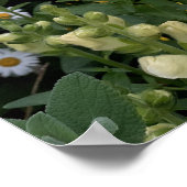 美しい黄色のスナップドラゴン花園ポスター ポスター (角)