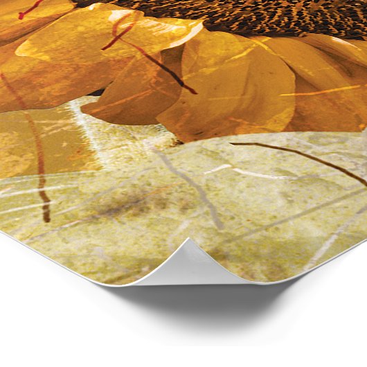 美しい黄色のテクスチャの巨大なヒマワリのフォトアート ポスター (角)