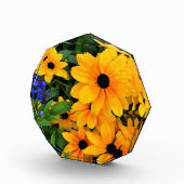 美しい黄色のデイジー写真 フォトブロック (右)