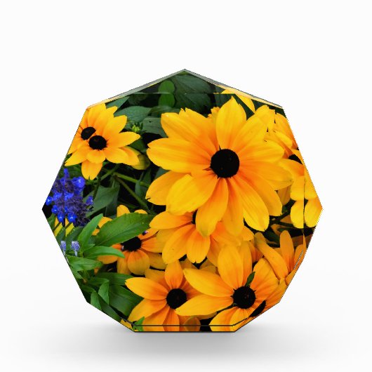 美しい黄色のデイジー写真 フォトブロック (正面)