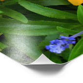 美しい黄色のデイジー写真 フォトプリント            (角)