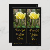 美しい黄色のバラのしおり葉書 ポストカード (正面/裏面)