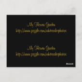 美しい黄色のバラのしおり葉書 ポストカード (裏面)