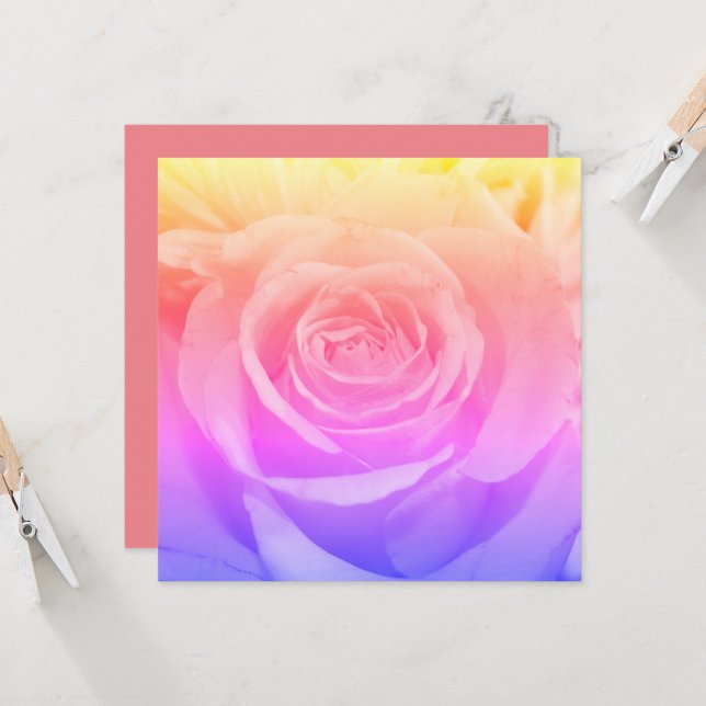 美しい黄色のバラの写真 (正面/裏面インサイチュ)