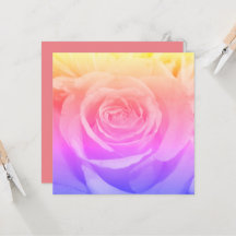 美しい黄色のバラの写真