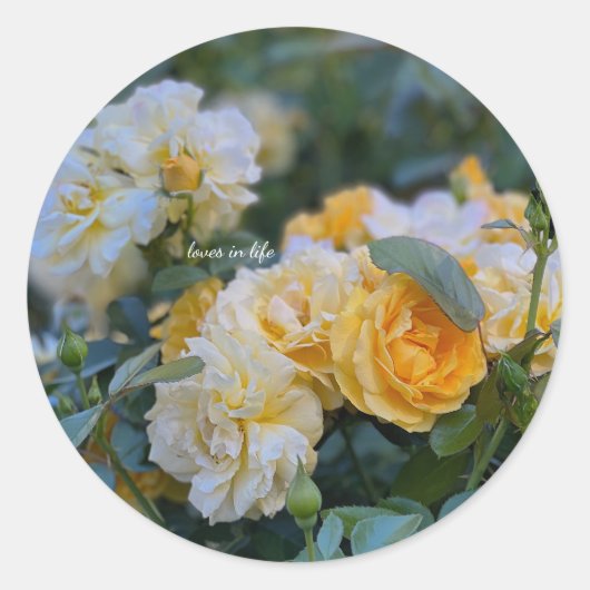 美しい黄色のバラの束 ラウンドシール (正面)