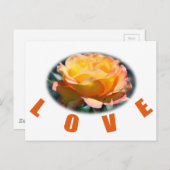 美しい黄色のバラの花の写真ラブギフト ポストカード (正面/裏面)