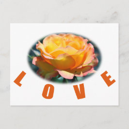 美しい黄色のバラの花の写真ラブギフト ポストカード