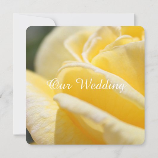 美しい黄色のバラの花の写真結婚の 招待状 (裏面)