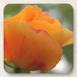 美しい黄色のバラの花の写真 コースター