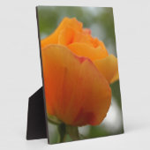 美しい黄色のバラの花の写真 フォトプラーク (側面)