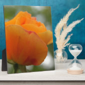 美しい黄色のバラの花の写真 フォトプラーク (側面)