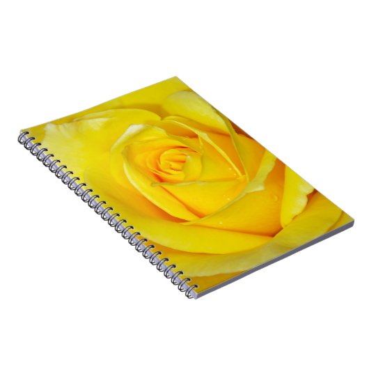 美しい黄色のバラの花びら ノートブック (右側)