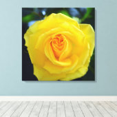 美しい黄色のバラの花写真。 キャンバスプリント (インサイチュ (ウッドフロア))