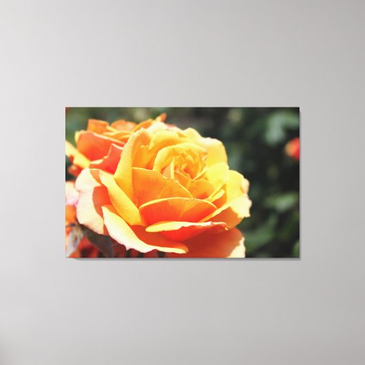美しい黄色のバラの花写真。フローラ芸術 キャンバスプリント (正面)