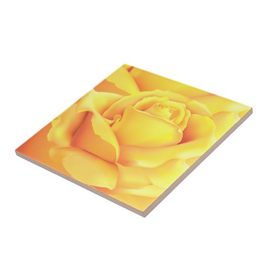 美しい黄色のバラ タイル (側面)