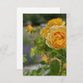 美しい黄色のバラ ノートカード (正面/裏面)