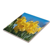 美しい黄色の水仙 タイル (側面)