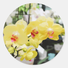 美しい黄色の熱帯オーキッドフラワー絵を描ズ ラウンドシール