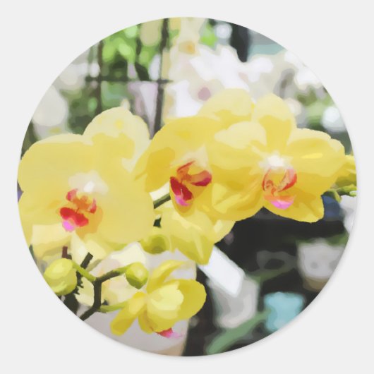 美しい黄色の熱帯オーキッドフラワー絵を描ズ ラウンドシール (正面)