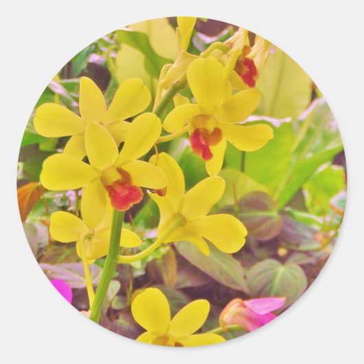 美しい黄色の秋のラン ラウンドシール (正面)