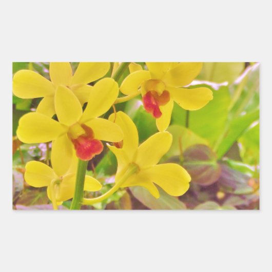 美しい黄色の秋のラン 長方形シール (正面)