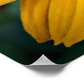 美しい黄色の花をパーソナライズ ポスター (角)